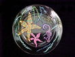 Stars of the Sea Design - Hand Painted - Dinner/Display Plate - 10 inch diameter