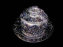 Jewish Celebration Design - Hand Painted - Cheese Dome and Matching 10 inch Platejewish 