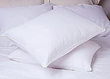 Classic White Queen Down Bed Pillow