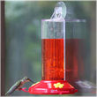 Hummingbird Suction Cup Feeder - 8oz