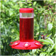 Hummingbird Master Feeder 6 ports - 48oz