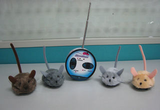 Remote Control Mouse Toy