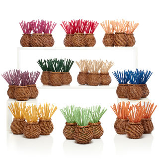 Fresh Fragrant Sticks - 20pc Set