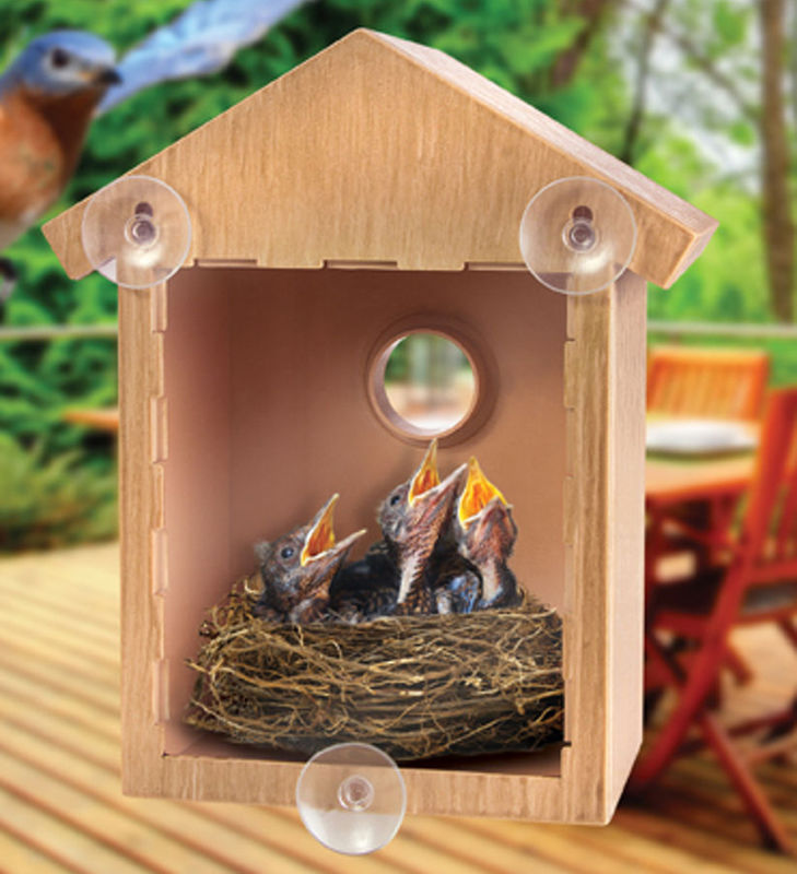 See Through One Way Mirrored Bird House Suction Cup Window Mounted