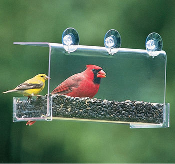 Songbird Window Feeder