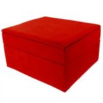 Jewelry Box W/ Cleaning Cloth Mirror Red Velveteen Case