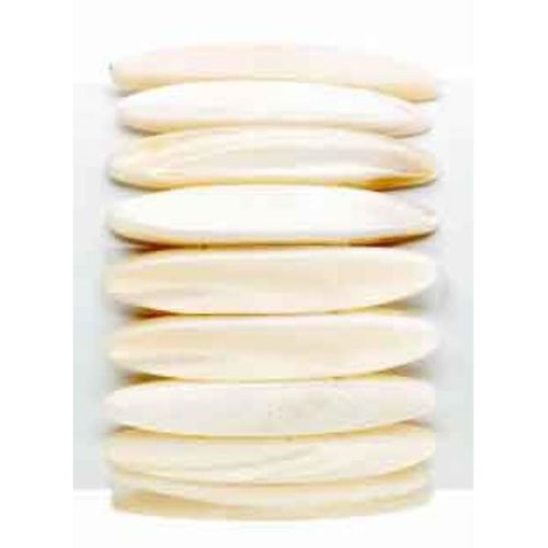 Shell Stretch Bracelets Wide Case Pack 12