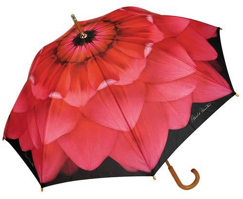 Umbrella 8 Panel Pink Dahlia Case Pack 4