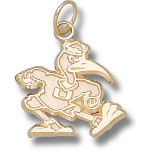 University of Miami Pendant - 10k Gold Fighting Ibis 5/8