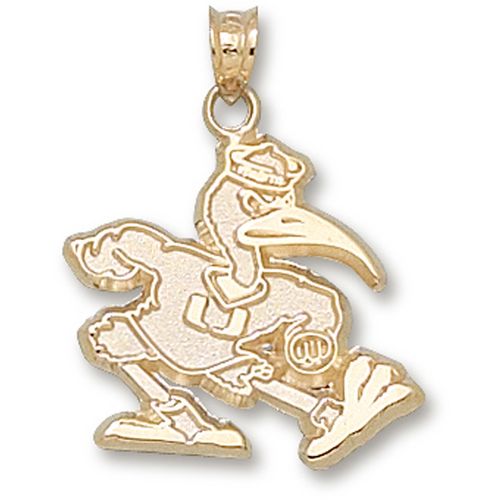 University of Miami Pendant - 10k Gold Fighting Ibis 3/4