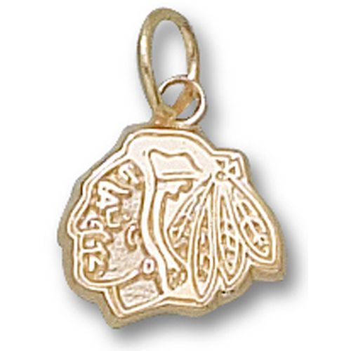 Chicago Blackhawks Pendant - 10k Gold Head Logo