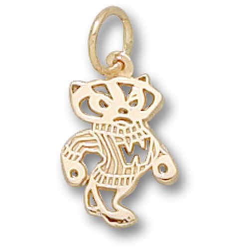 University of Wisconsin  Dangle Pendant - Bucky 2 Sided 1/2