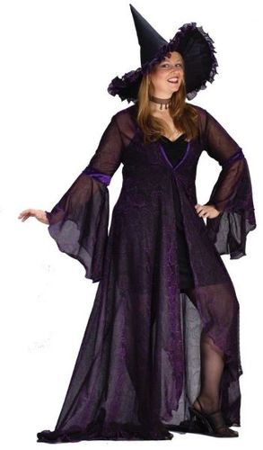 Women's Costume: Shimmer Rose Witch- Plus