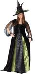 Witch Goth Maiden Women's Plus Size Costume