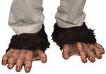 Chimp Feet