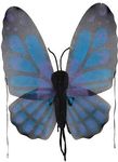 Wings Butterfly Blue