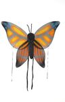Wings Child Butterfly Orange