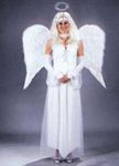 Angel Wings Feather Adult White