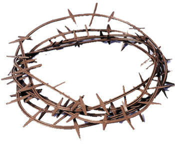 Crown Of Thorns