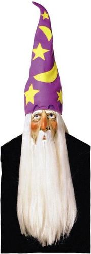 Wizard Mask w/Hair And Hat