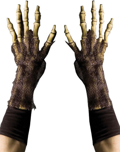 Costume Accessory: Grim Reaper Hands