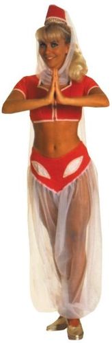 I Dream Of Jeannie Women's Costume- Size 12