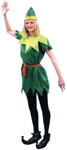 Women's Costume: Peter Pan Lady- Standard