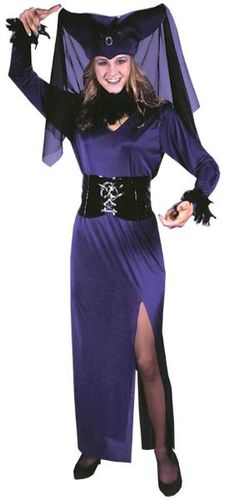 Women's Costume: Saucy Sorceress- Standard
