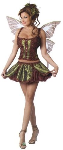 Women's Costume: Enchanting Fairy- Medium