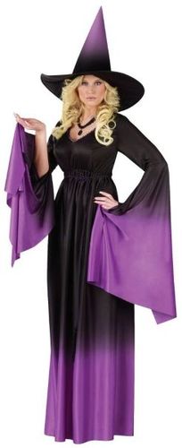 Women's Costume: Magical Witch- Small/Medium