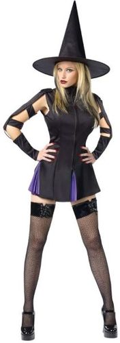Women's Costume: Witch Wicked- Small/Medium