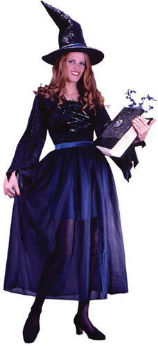 Women's Costume: Storybook Witch- Small/Medium