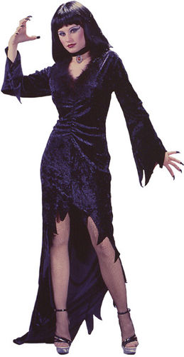 Women's Costume: Queen of Crypt- Small/Medium
