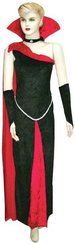 Women's Costume: Blood Raven- Small/Medium