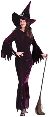 Women's Costume: Witch Elegant Plum- Small/Medium