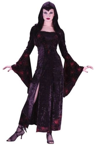 Women's Costume: Sexy Sorceress- Small/Medium