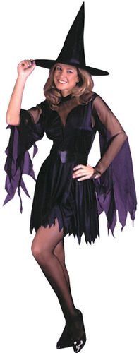 Women's Costume: Sexy Witch- Large