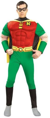Robin Costume - Adult Large