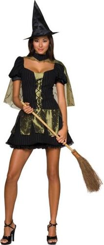 Women's Costume: Wicked Witch Secret Wishes- Small
