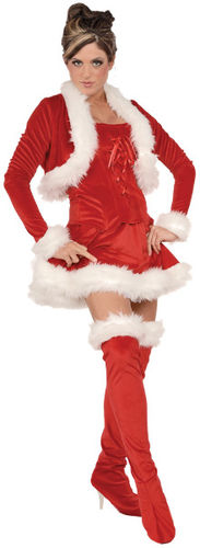 Women's Christmas Costume: Ms. Claus- Small