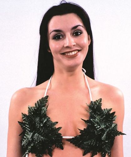 Cluster Of Leaves Cover-up