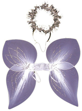 Angel Wing With Halo Set