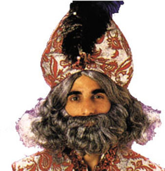 Biblical Beard & Wig Grey