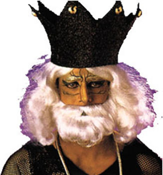 Biblical Beard & Wig White