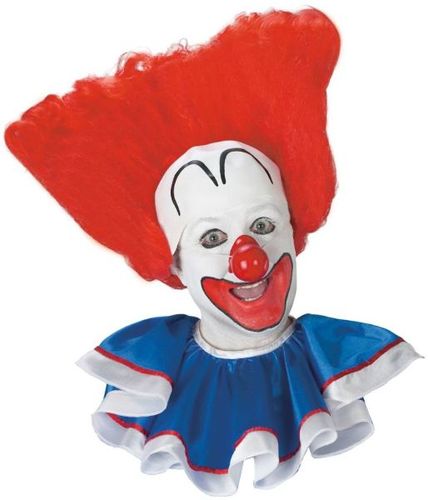 Bozo Adult Wig