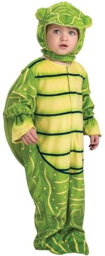 Little Turtle Toddler