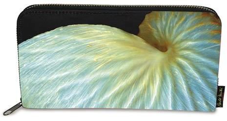 Accordian Wallet Nautilus Shell Case Pack 2