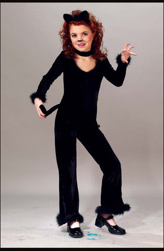 Playful Kitty 12 To 14