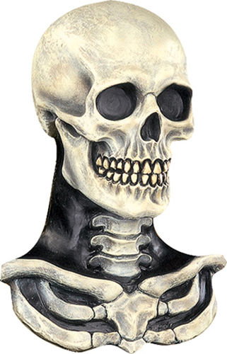Skull And Bones
