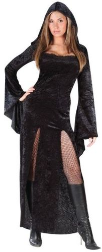 Sultry Sorceress Women's Plus Size Costume